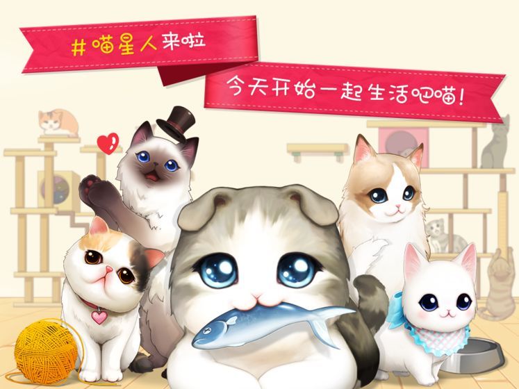 猫宅97手游攻略—— 掌握游戏技巧，轻松成为猫咪达人