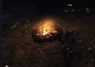 Risen探险指南:探索神秘岛屿的必备攻略