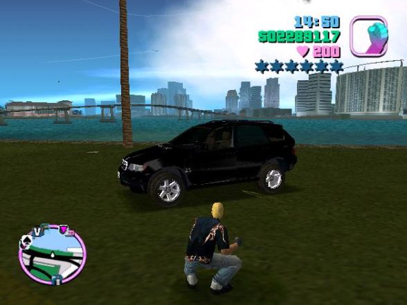 《侠盗飞车:狂野之城》——探索犯罪之都,畅享极速狂飙!