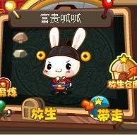 洛克王国富贵呱呱修行全解析:玄玉岛深处的力量觉醒之旅