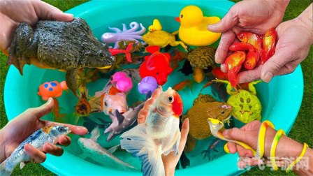 小小村长手游攻略：打造繁荣村落的秘诀与技巧