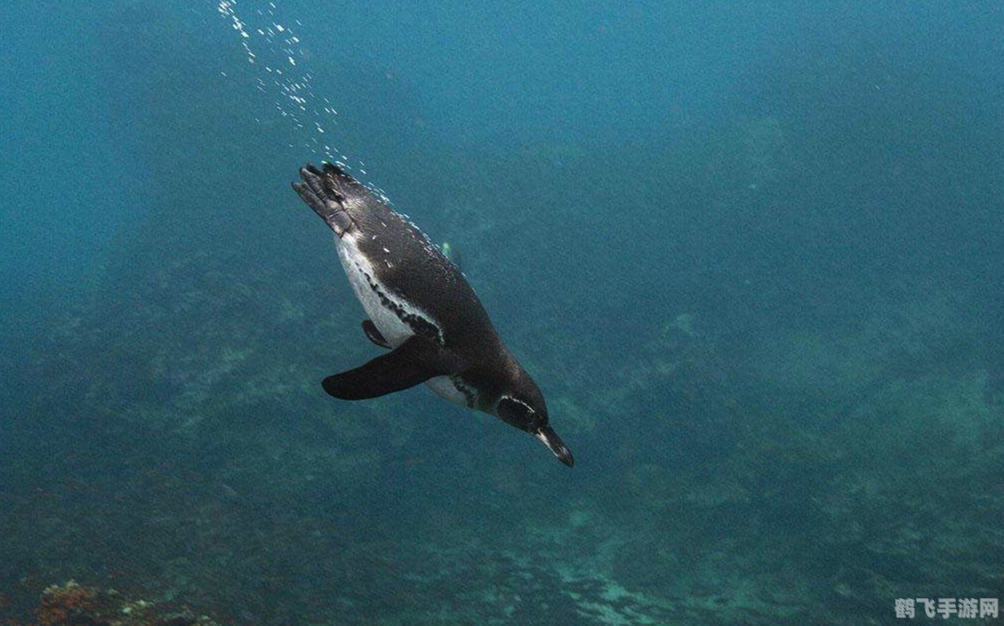 达尔文进化岛:生存进化之道