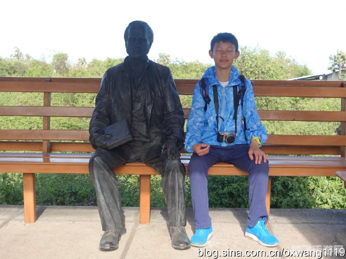 达尔文进化岛:生存进化之道