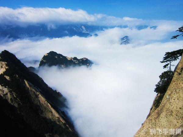 青云传手游攻略：翱翔青云，掌握修仙之道！