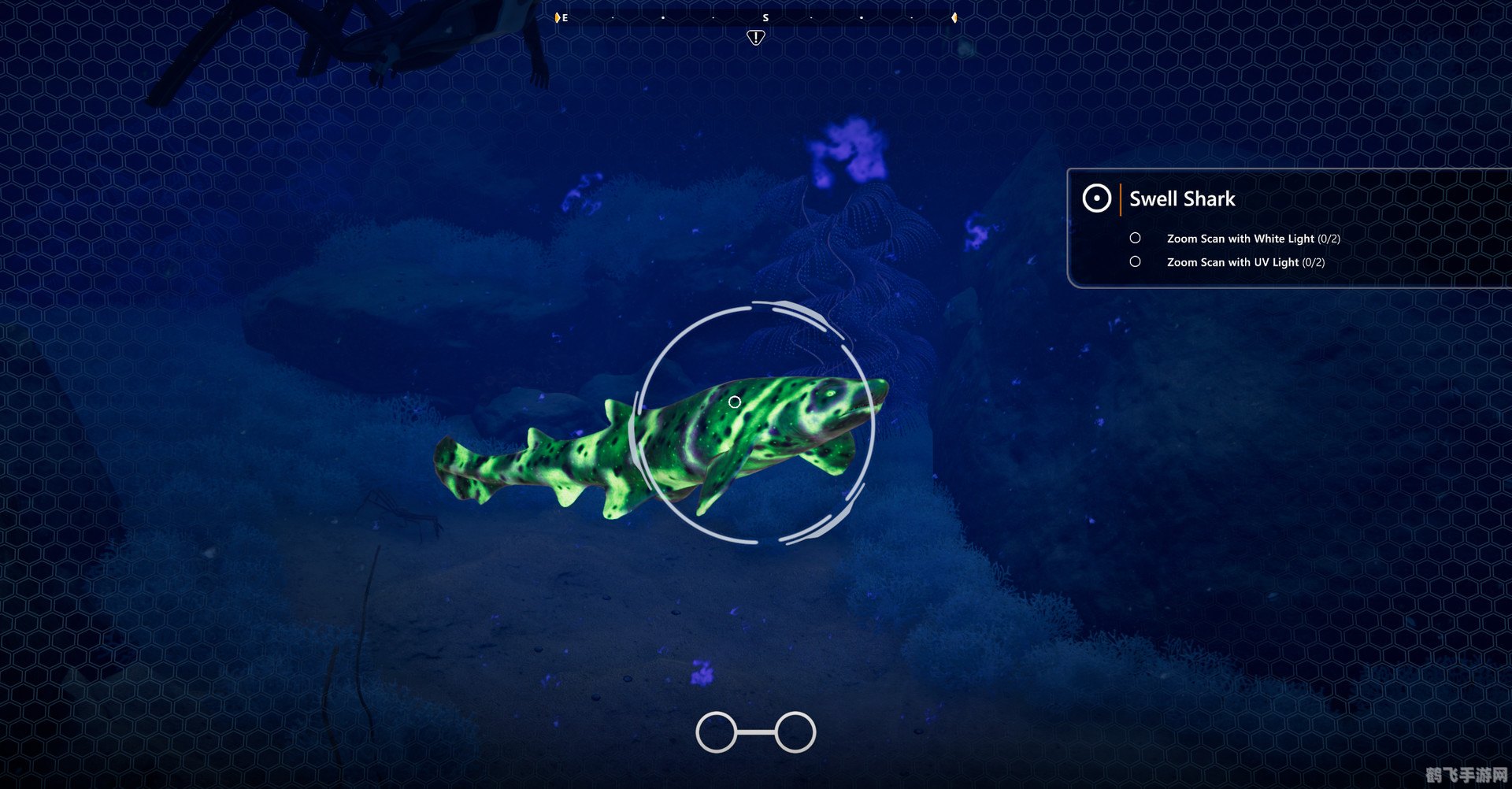 网上打渔游戏：深海捕捞攻略与玩法全解析