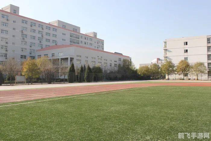 蚂蚁庄园揭秘：征服宇宙的第一步，了解第一宇宙速度！