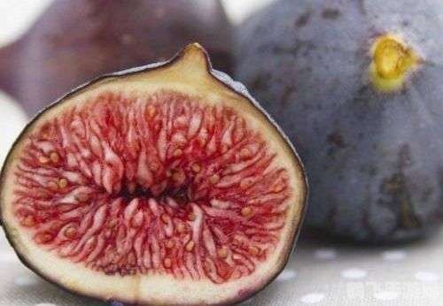 揭秘无花果之谜:蚂蚁庄园里的隐藏宝藏