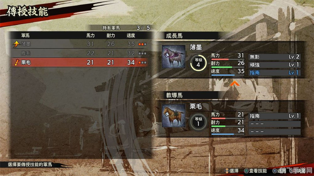 战国无双3Z特别版手游攻略：成为战国英豪的秘诀