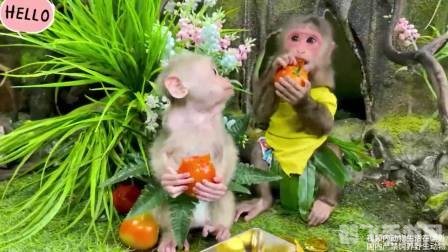 勇闯地下城手游攻略:成为地下城霸主的秘诀!