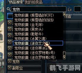 地下城与勇士手游宠物系统全攻略