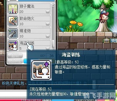 冒险岛火炮手三转攻略:技能升级与战斗策略