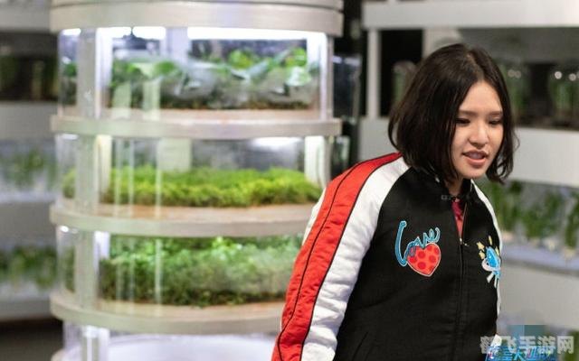 逃出密室游戏,逃出密室游戏攻略:解锁谜题,挑战极限!