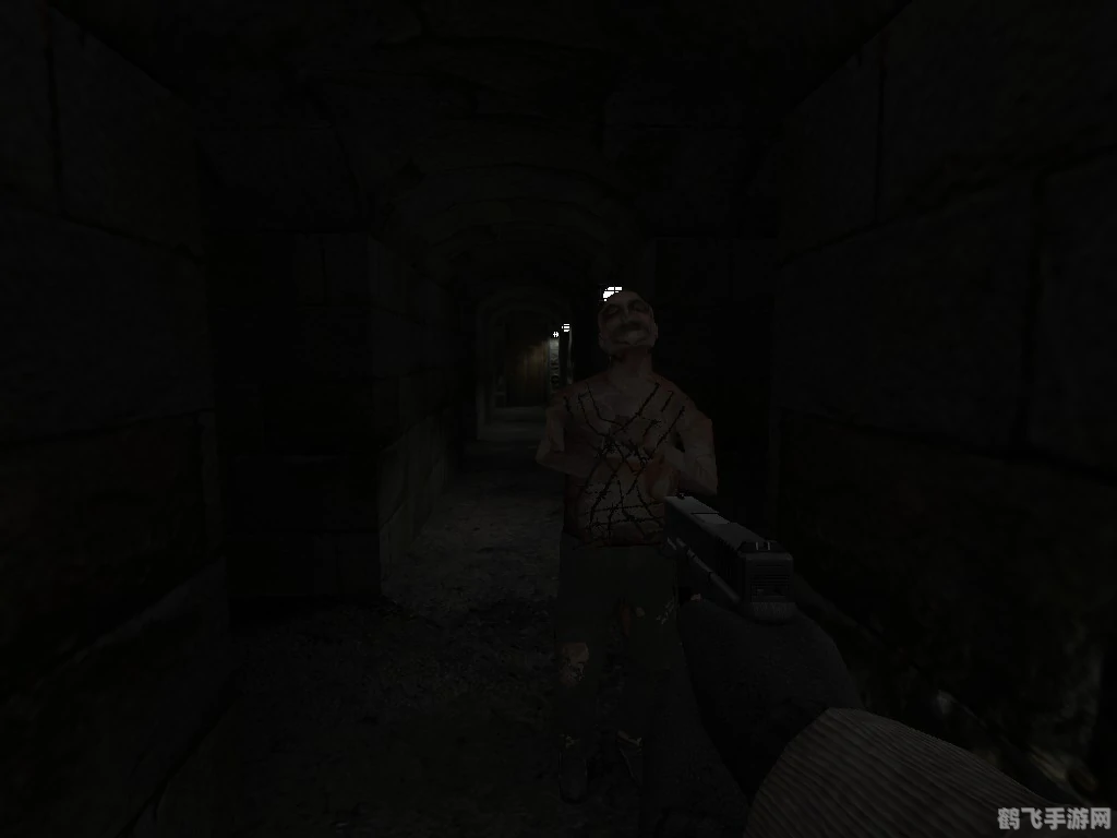 半条命：恐惧之泣— 深入解析与攻略指南