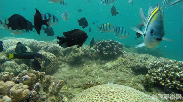 梦幻西游高级藏宝图,<h1>梦幻西游高级藏宝图探秘攻略</h1>