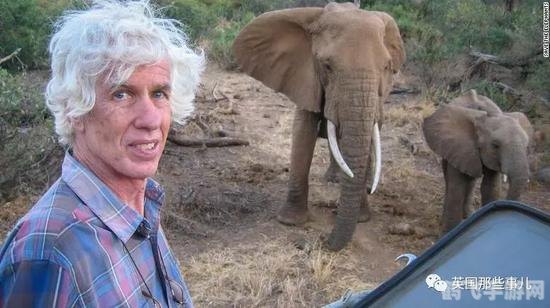 德考汉的象牙手游攻略：象牙塔的秘境探索