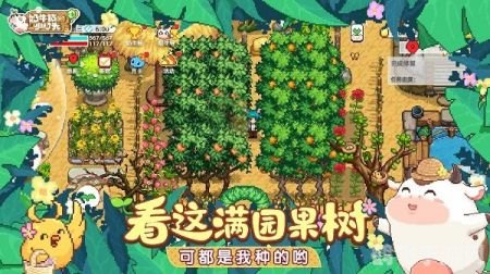 奶牛镇的小时光,奶牛镇的小时光深度攻略：探索魅力小镇，尽享悠闲时光