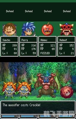 NDS龙珠：重温经典，掌握攻略成为最强战士