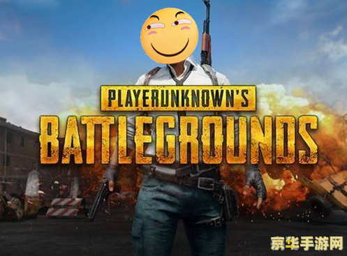 pubg国服预约,绝地求生:刺激战场国服预约开启,掌握攻略助你称霸战场!