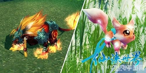 仙侠世界玄兽全攻略:培养、进阶与战斗技巧