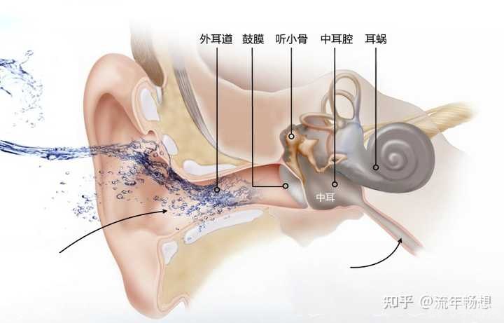 游泳时耳朵进水蚂蚁庄园,&lt;h1&gt;游泳时耳朵进水怎么办？蚂蚁庄园来帮你解答！&lt;/h1&gt;