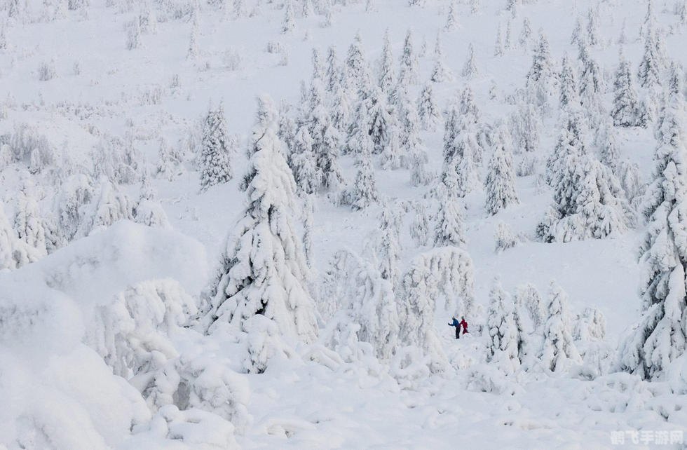 卧雪眠霜蚂蚁庄园:寒冬求生指南