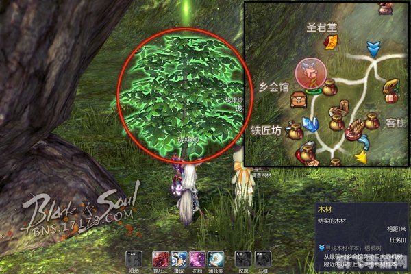 剑灵新发现:梧桐树树脂的神秘力量