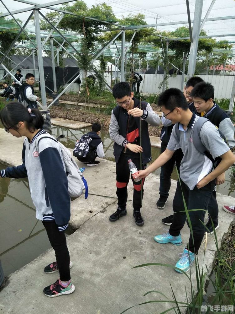 蝌蚪游戏平台,蝌蚪游戏平台：一站式解决你的游戏需求