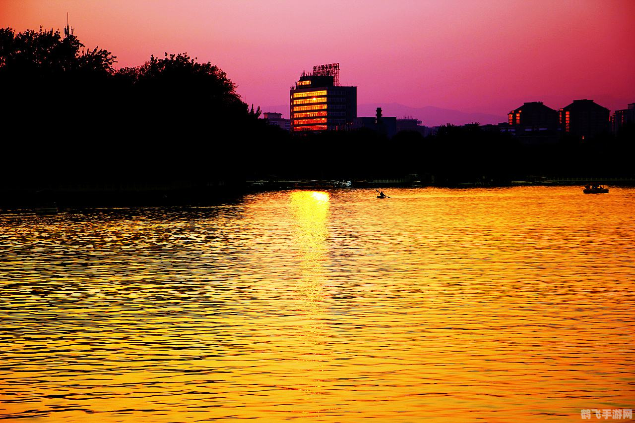 蝌蚪游戏平台,蝌蚪游戏平台：一站式解决你的游戏需求