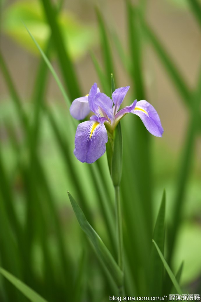 揭秘DNF紫色曲玉获取攻略,助你轻松掌握游戏秘籍!