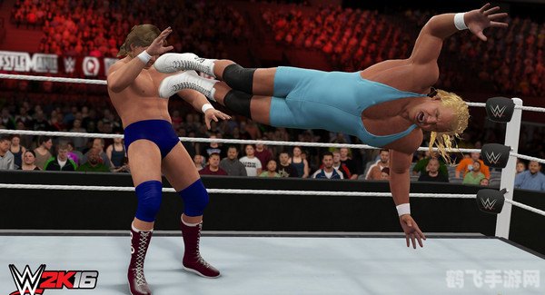 重温经典：WWE 2008游戏攻略及玩法大揭秘