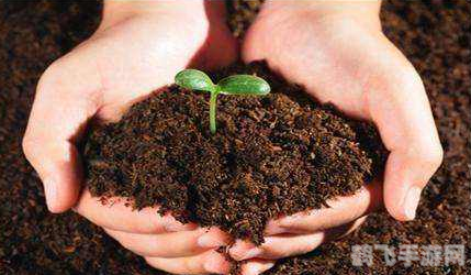 真实赛车3特效修改,真实赛车3特效修改与玩法攻略