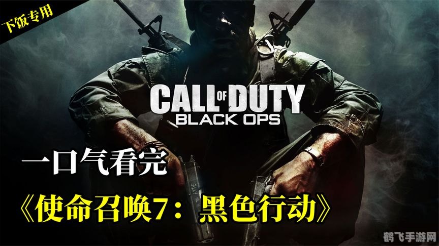 使命召唤：黑色行动深度解析与攻略指南