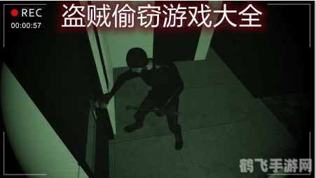 江洋大盗小游戏攻略：成为顶级神偷的秘诀