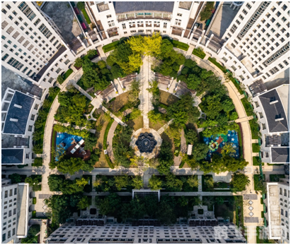 新月仪式之书,新月仪式之书手游深度攻略:探索仪式,解锁无尽奥秘!