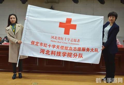 新月仪式之书,新月仪式之书手游深度攻略:探索仪式,解锁无尽奥秘!