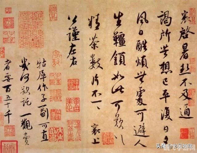 茶圣蚂蚁庄园,茶圣蚂蚁庄园游戏攻略：探索茶文化的奥秘