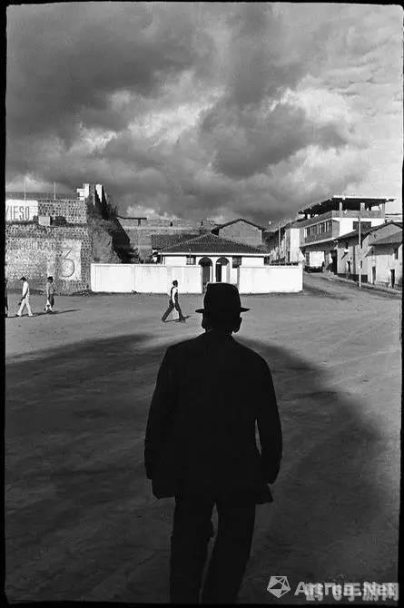 手游血统与荣耀深度攻略:探索荣耀之路