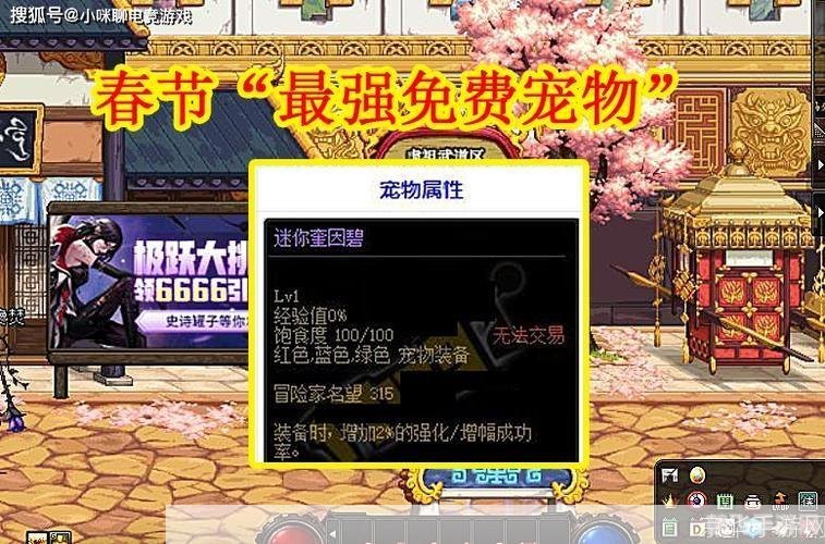 dnf韩服宠物,DNF韩服宠物系统全解析：培养、搭配与战斗技巧