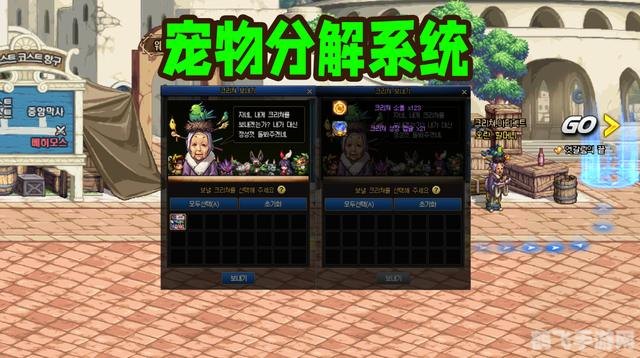 dnf韩服宠物,DNF韩服宠物系统全解析：培养、搭配与战斗技巧