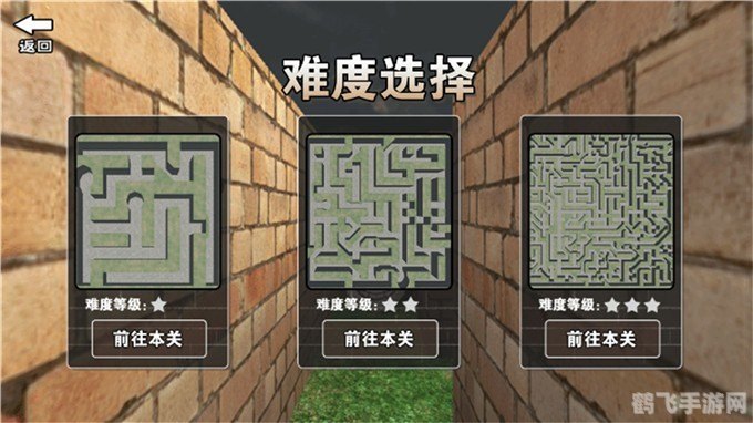 勇闯恐怖迷宫:绝密攻略与玩法解析