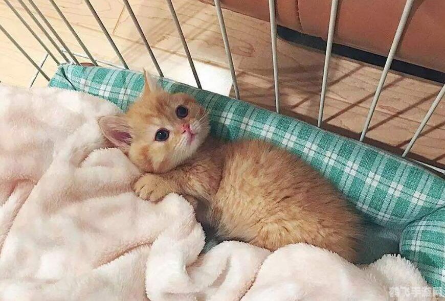 手游攻略：如何充分利用手套15敏捷提升战斗实力