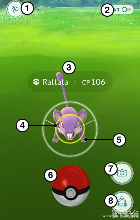 精灵宝可梦go攻略,精灵宝可梦GO全攻略:成为顶级训练师的秘诀!