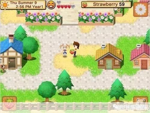 农庄物语2手游攻略：打造繁荣农庄的秘诀