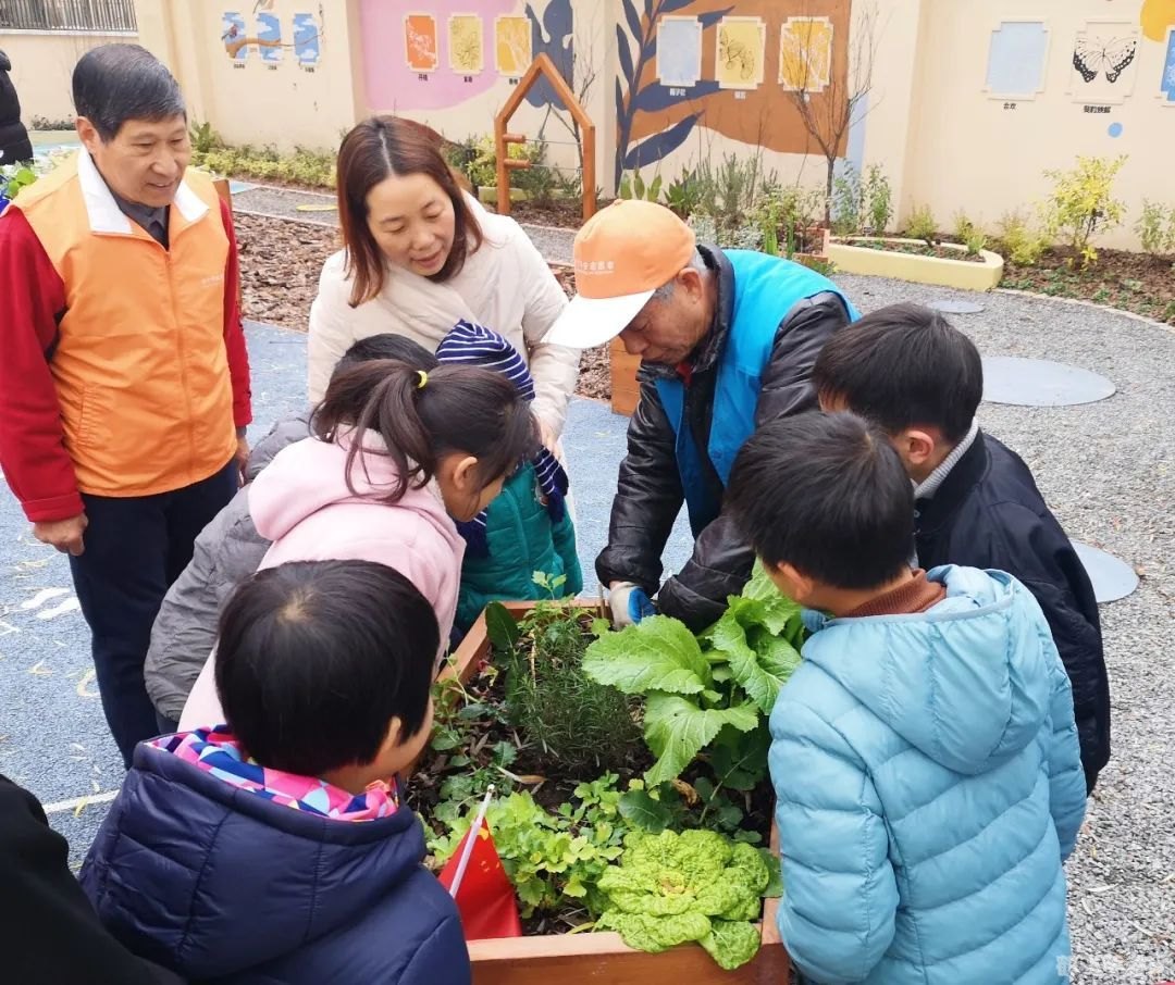 萝卜保卫战电脑版,萝卜保卫战电脑版攻略大全：成为顶尖的萝卜守护者！