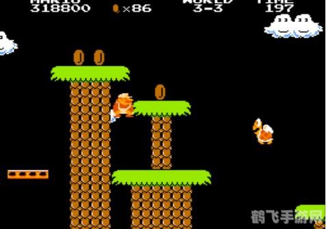 水管玛丽游戏攻略:探索水管世界,挑战极限!