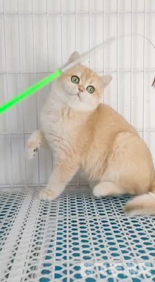 三国群英7武将编号,三国群英传7武将编号全解析与攻略指南