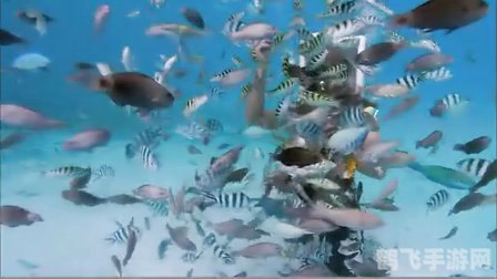 新天堂2好玩吗,新天堂2:探索未知,尽享游戏魅力