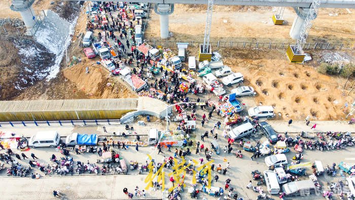 乘坐飞机时蚂蚁庄园——高空中的策略大挑战