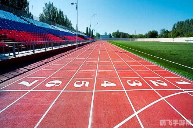 田径跑道蚂蚁庄园:赛道上的小蚂蚁大冒险