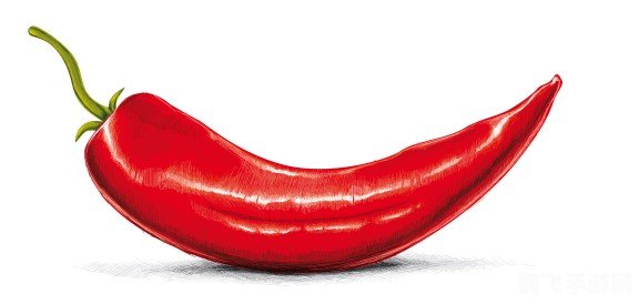 穿越诗坛,品味辣椒——解锁手游中哪位诗人能吃到辣椒的奥秘